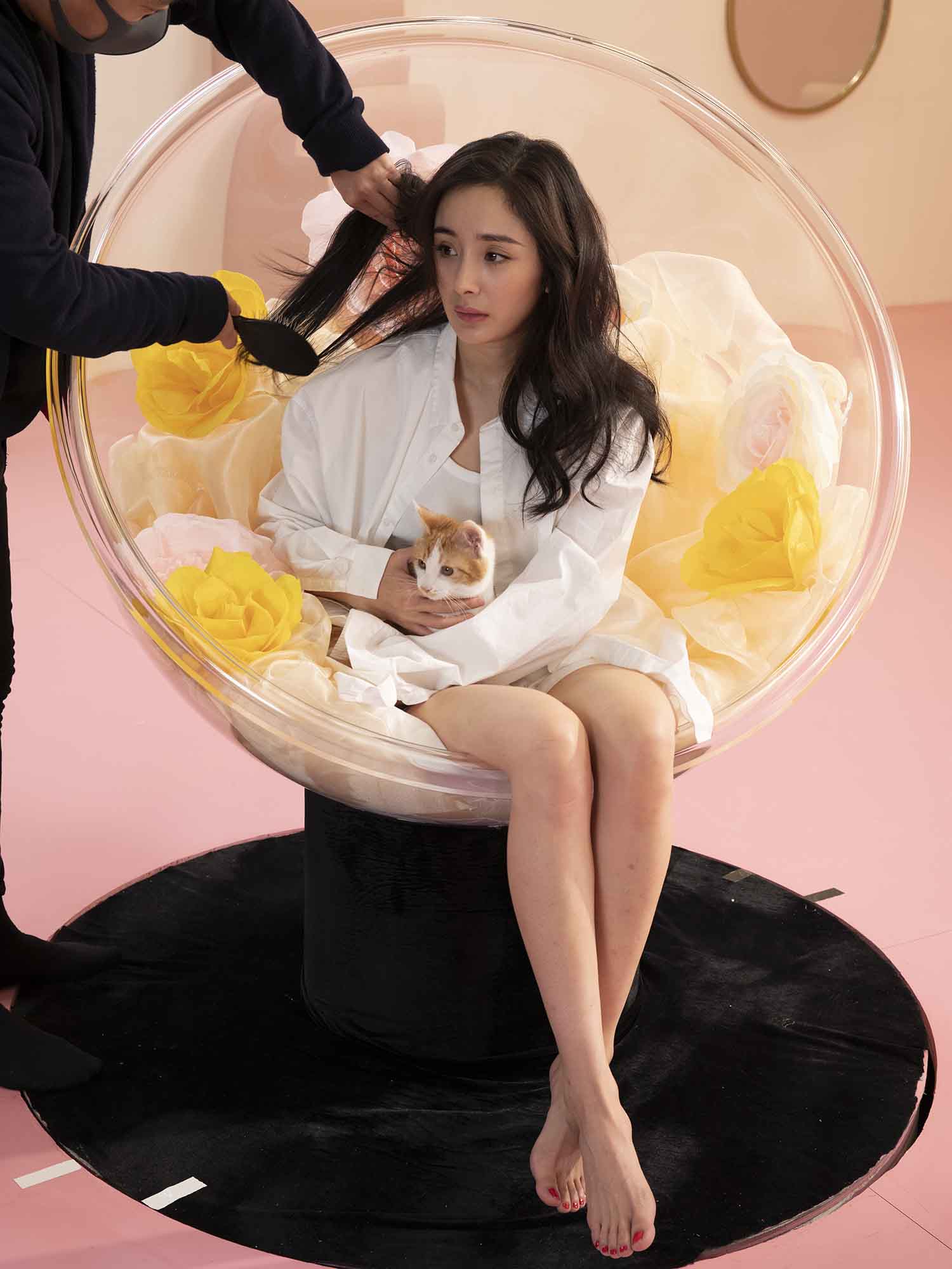 【CR2原图 252张/5.33G】杨幂与猫 光腿广告拍摄现场